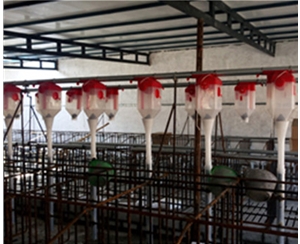 桂林养猪自动化料线